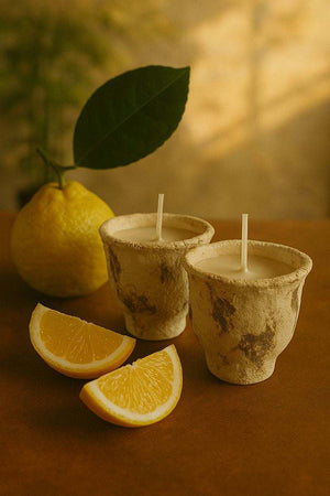 Bergamot citrus candle by ONEKILN with fresh Mediterranean citrus scent in elegant glass jar