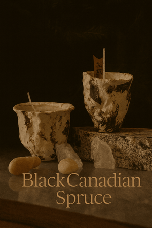 Spruce scented candle with black Canadian spruce aroma for a fresh evergreen home ambiance