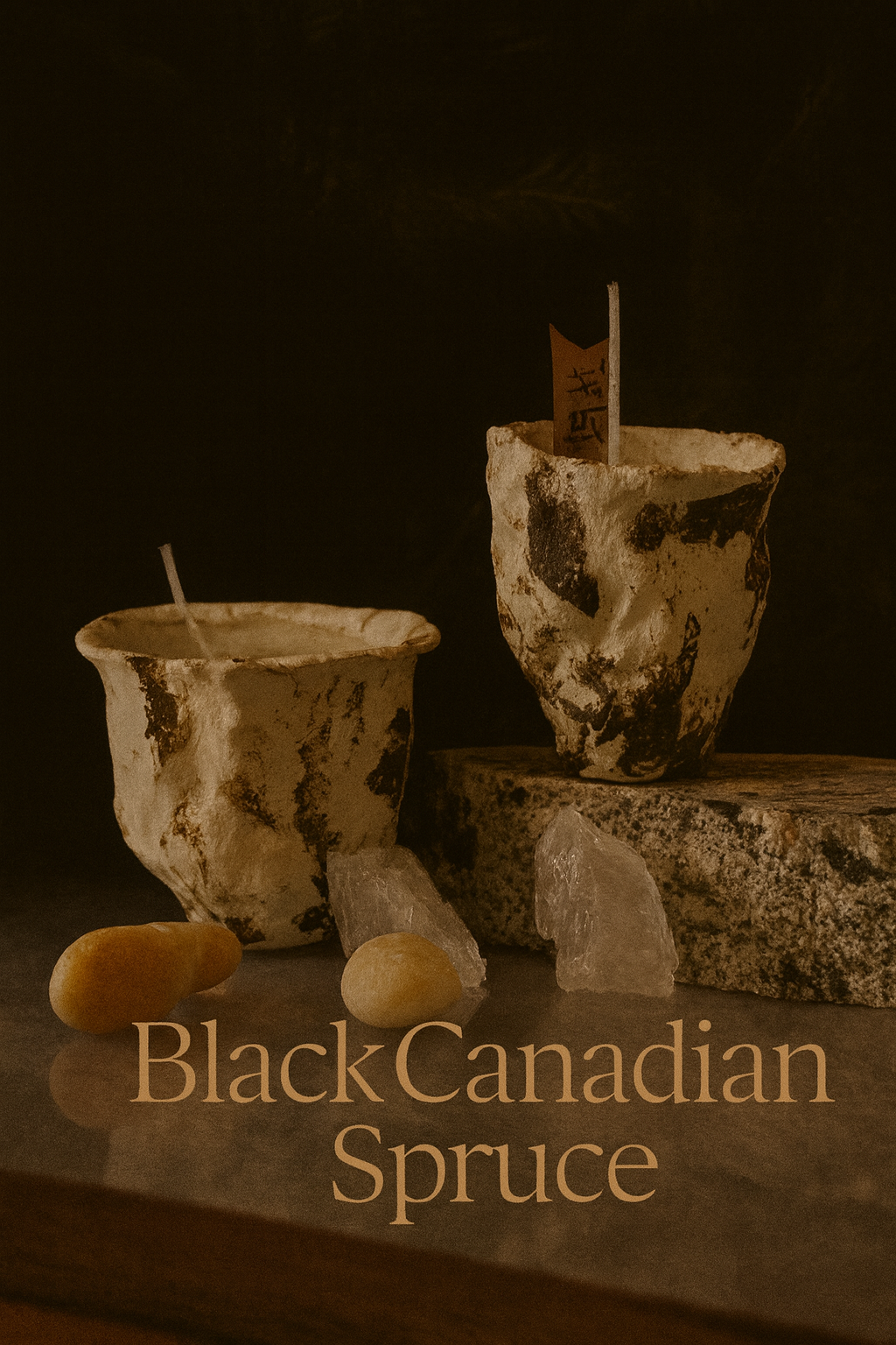 Black Canadian Spruce